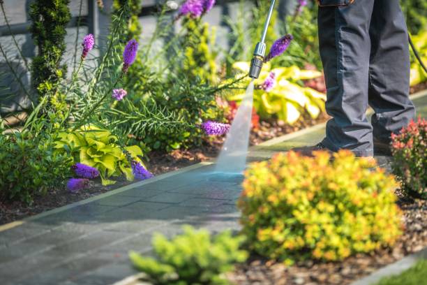 Best Driveway Pressure Washing  in Upland, CA